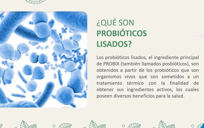 Probix FuXion x 28 Sobres Probiótico Lisado
