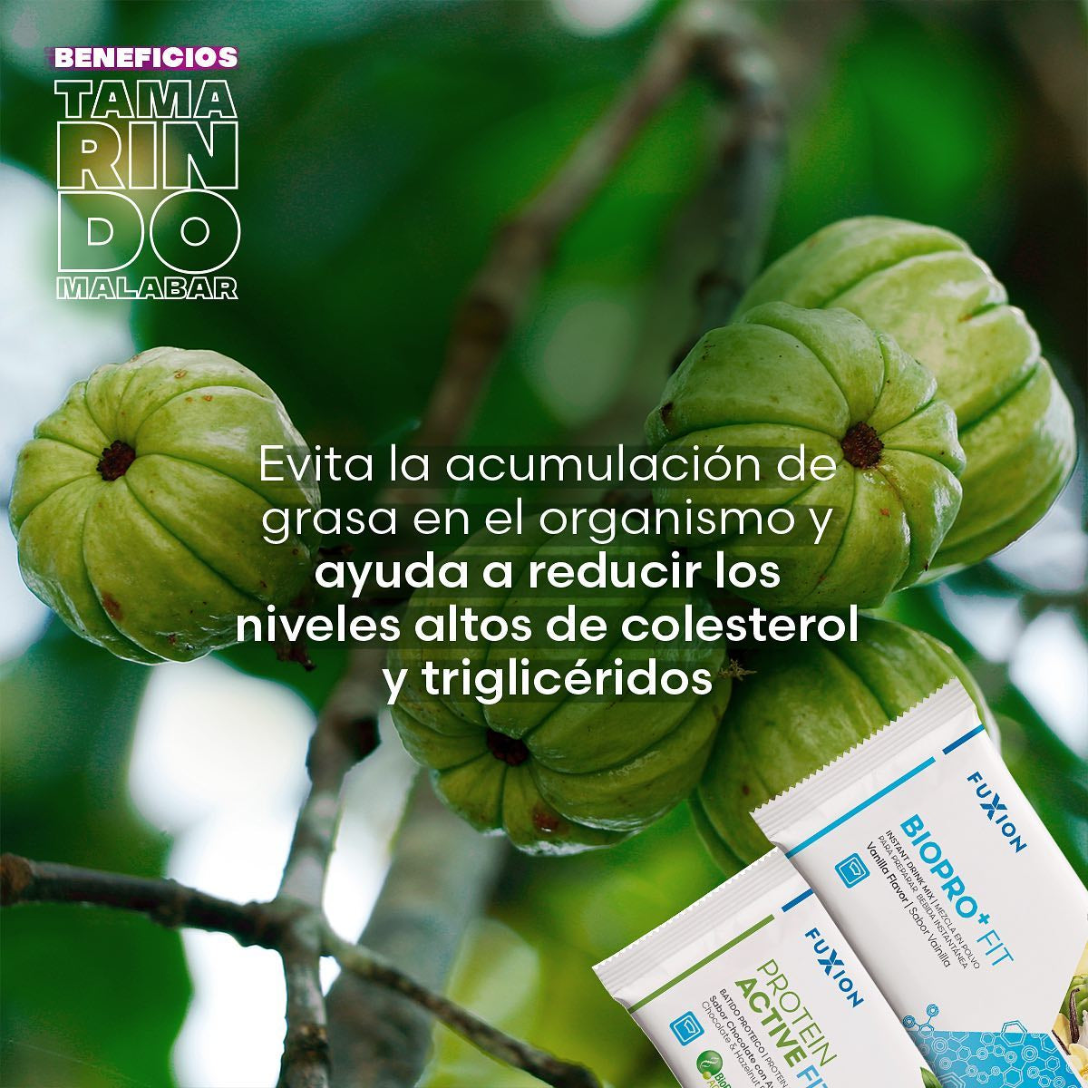 BIOPRO+ FIT FuXion x 14 Sobres
